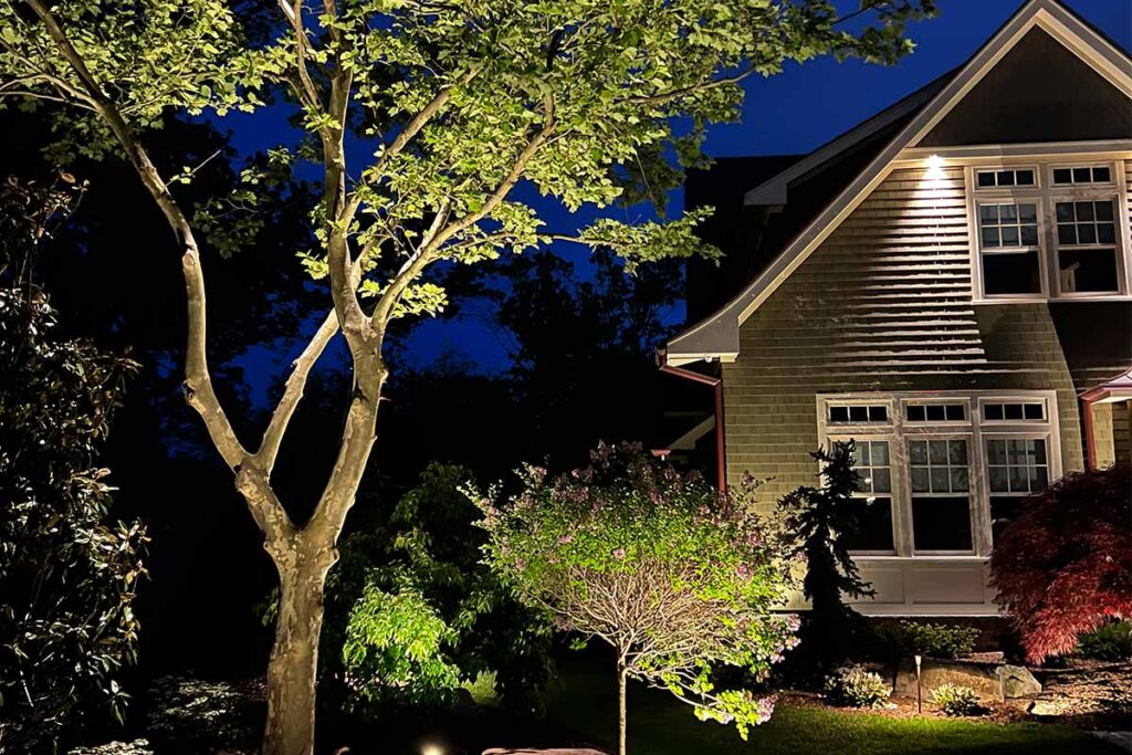 1 Garden Lights in Your Landscape