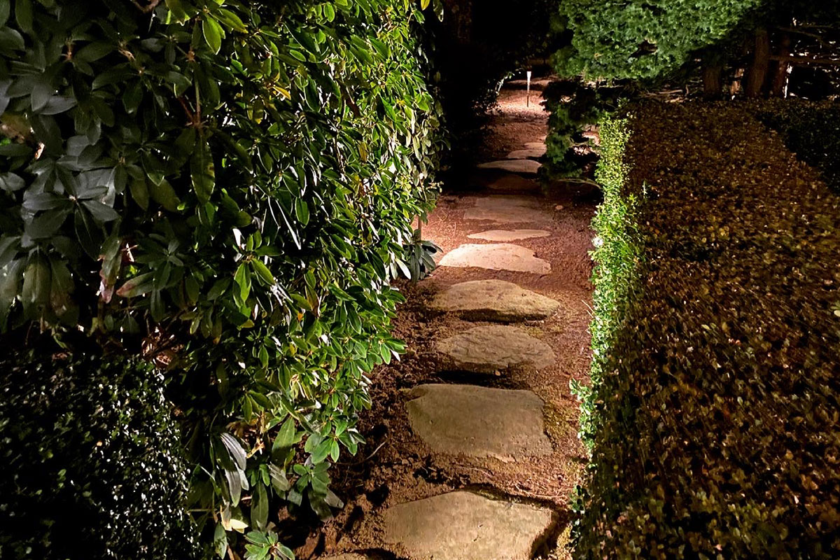 Explore the Options and Benefits of Low Voltage Patio Lights