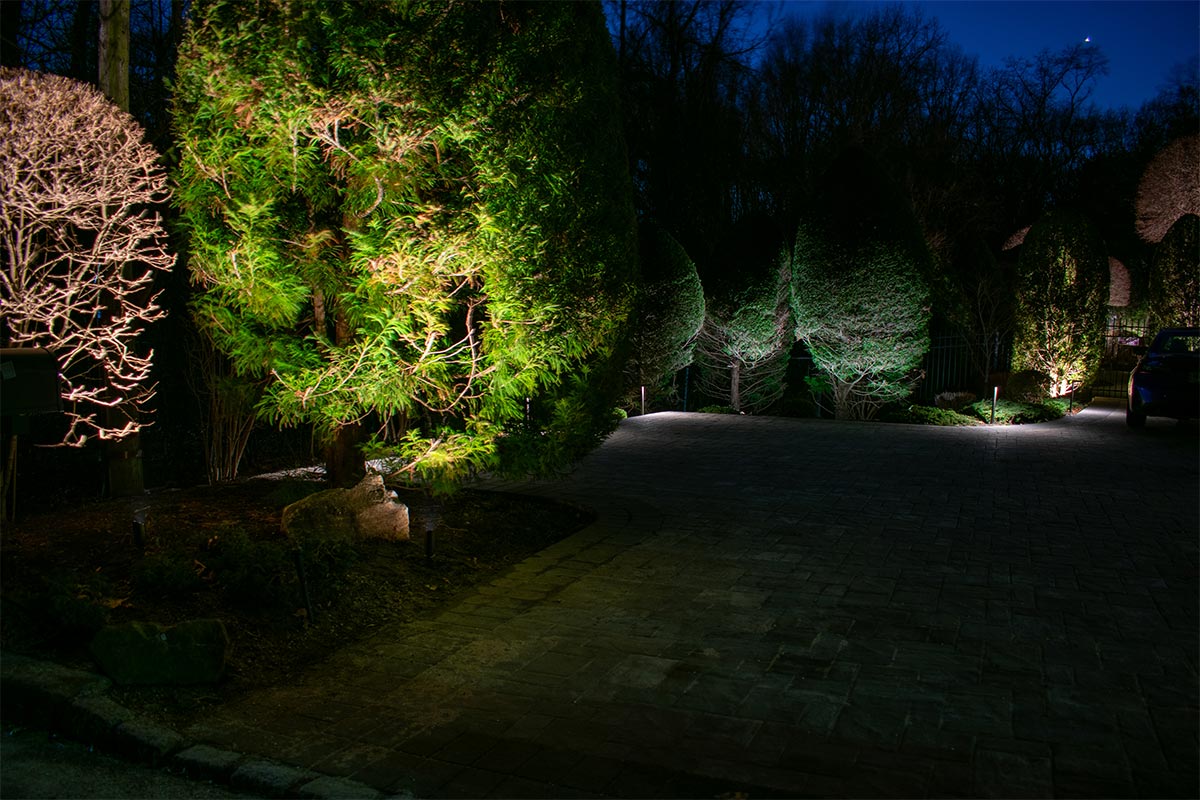 Driveway and trees beautifully lit with low voltage landscape lighting at dusk.