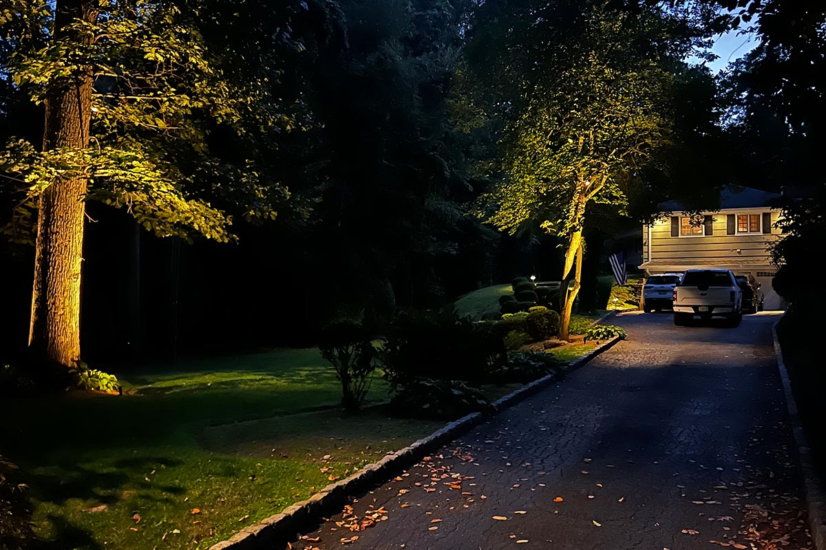 The Art of Integrating Outdoor Lighting and Landscaping