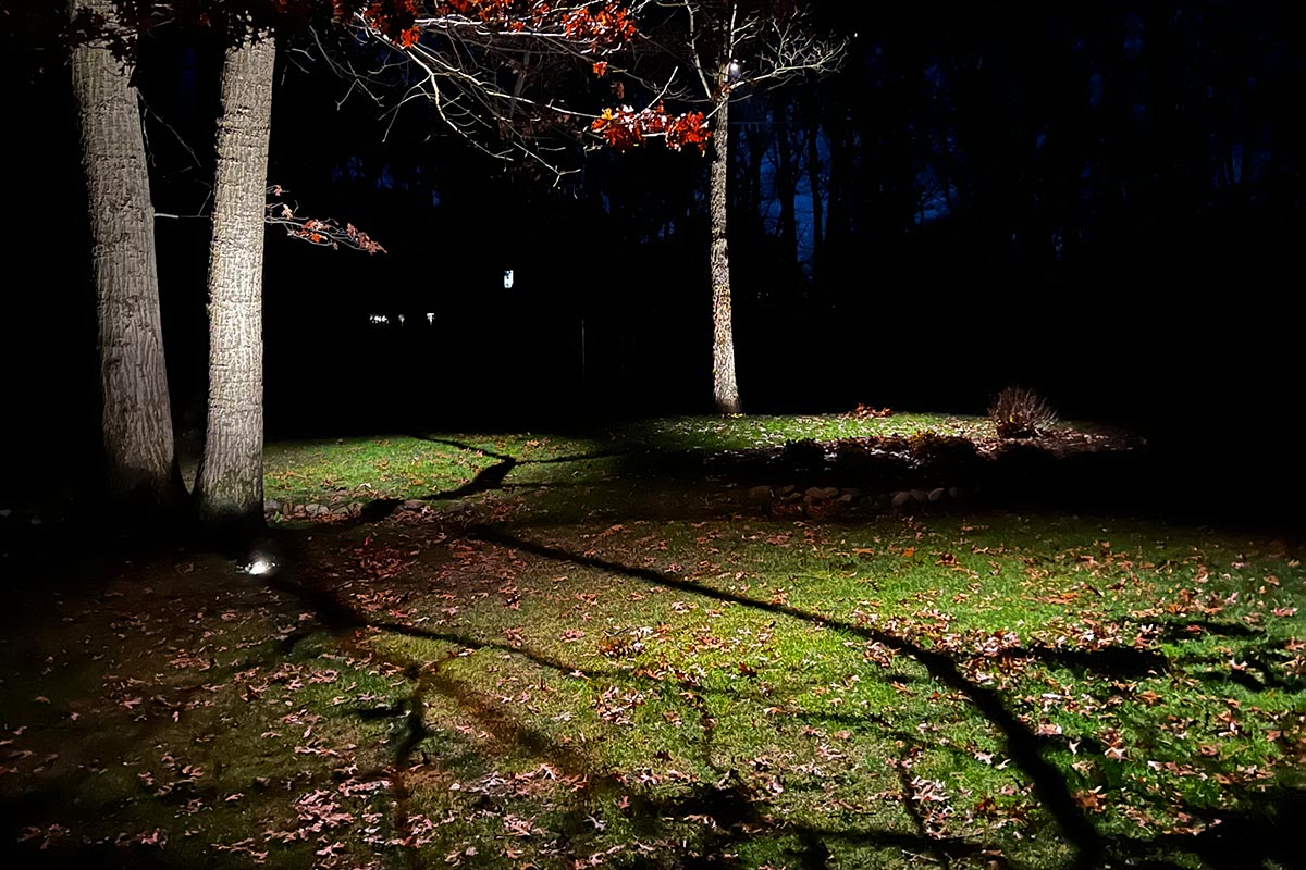 Outdoor lighting and landscaping creating shadows and highlights on a lawn covered with autumn leaves.