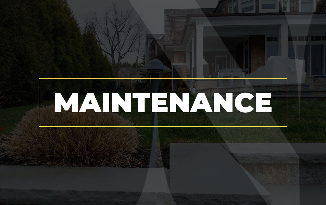 NL Boston Web Designs MAINTENANCE