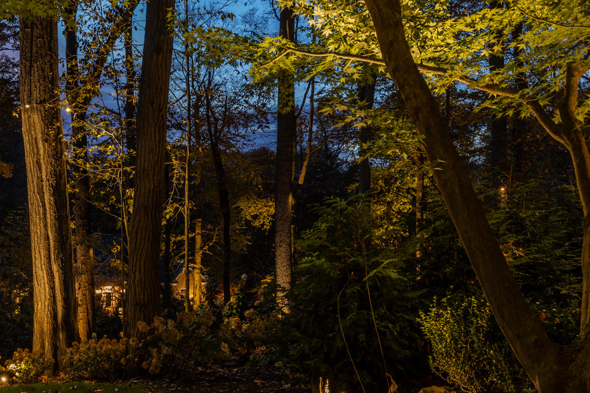 Backyard Landscape Lighting in Marshfield