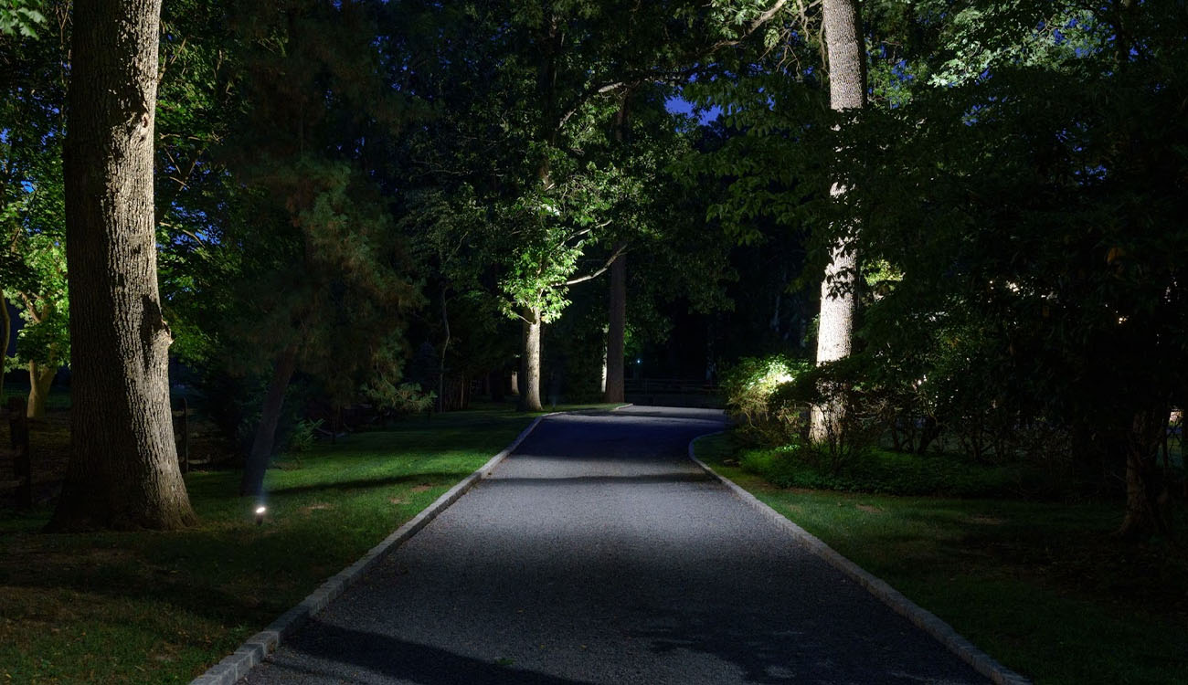 Driveway and trees illuminated by a clean, functional lighting system after regular lighting system maintenance.