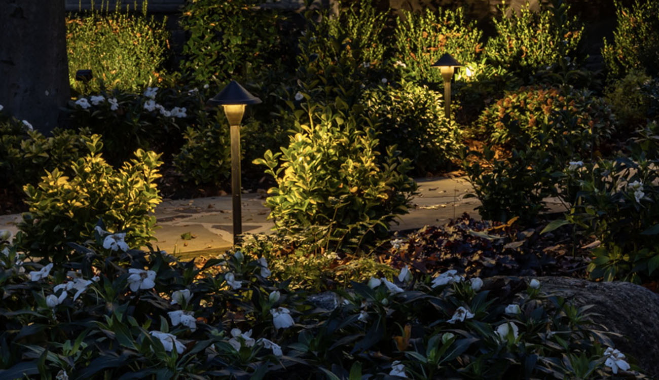 Pathway lined with modern landscape lighting fixtures providing warm light across garden plants and walkways.