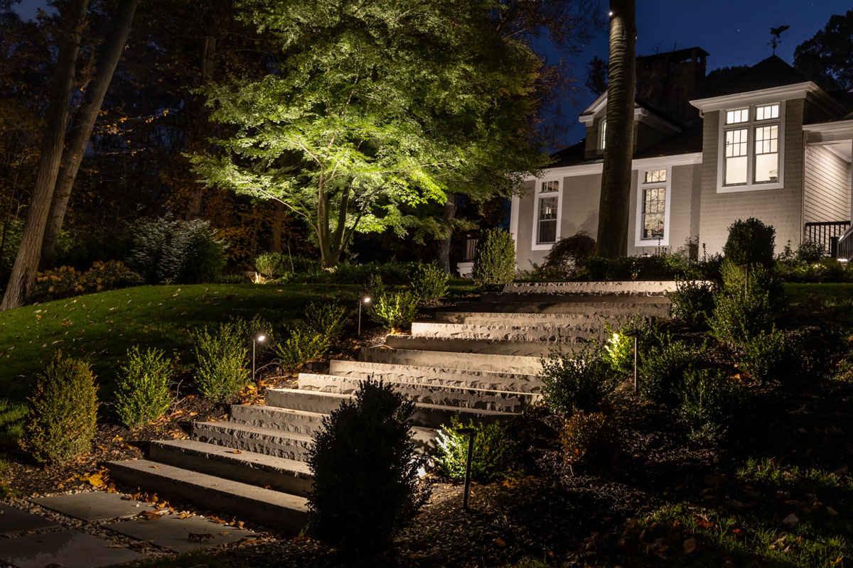 Front Yard Landscape Lighting Tips to Boost Curb Appeal in Mill Neck, NY 2 Front yard landscape lighting illuminating stone steps, pathway lights, and a large tree leading up to a home at night.