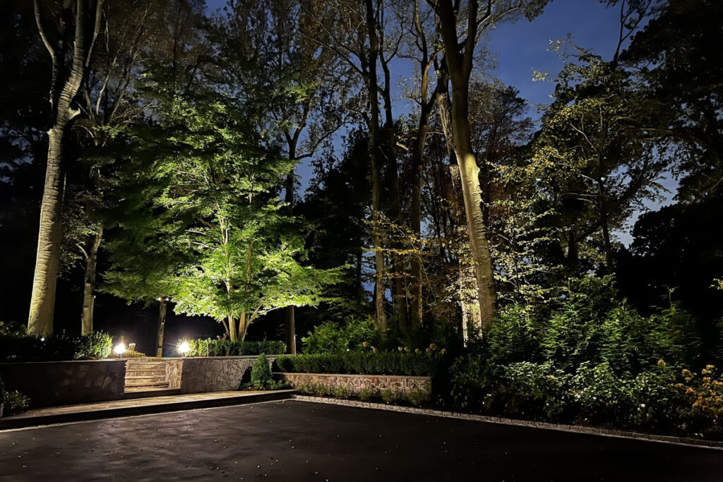 Large trees and driveway illuminated with professional landscape lighting, representing the quality behind outdoor lighting installation cost in Massachusetts.