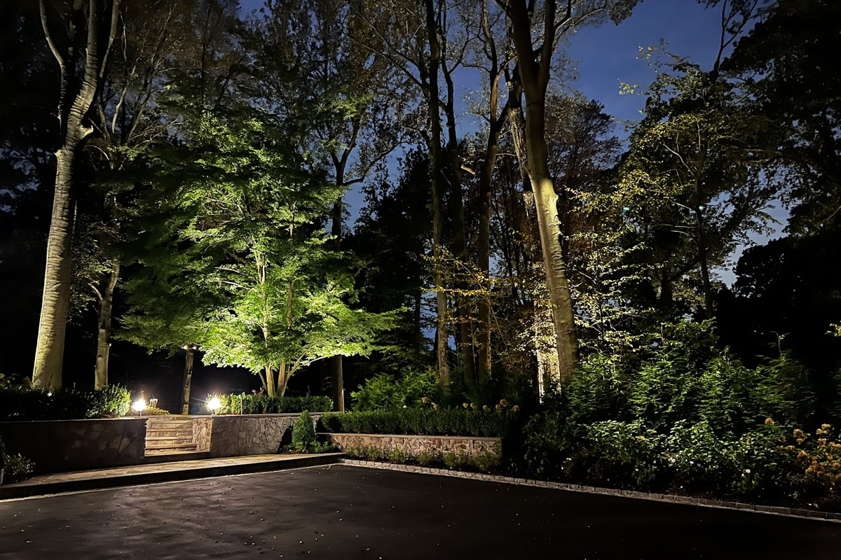 How Much Does Outdoor Lighting Installation Cost in Massachusetts? 2 Large trees and driveway illuminated with professional landscape lighting, representing the quality behind outdoor lighting installation cost in Massachusetts.