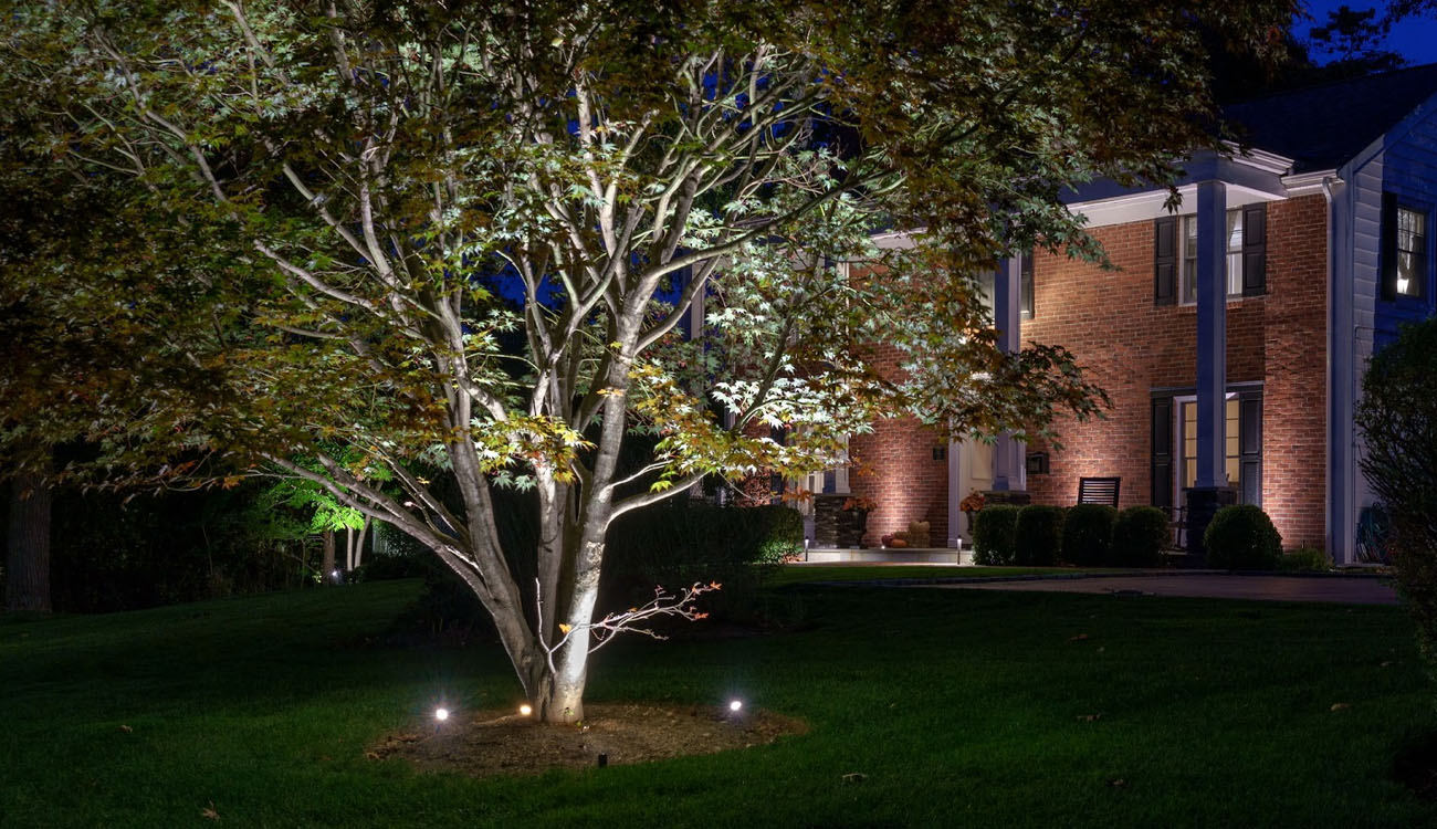 How Much Does Outdoor Lighting Installation Cost in Massachusetts? 3 Residential tree lighting installed near a brick home, showing the type of work that influences outdoor lighting installation cost in Massachusetts.