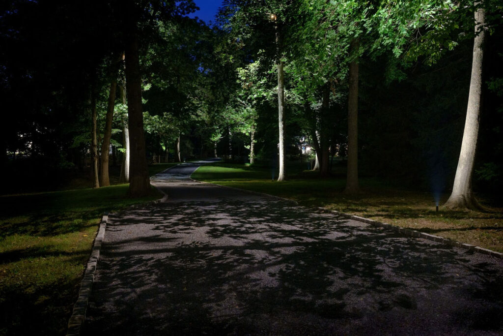Lighting fixture repair and replacement work shown through landscape lights illuminating a wooded driveway at night.