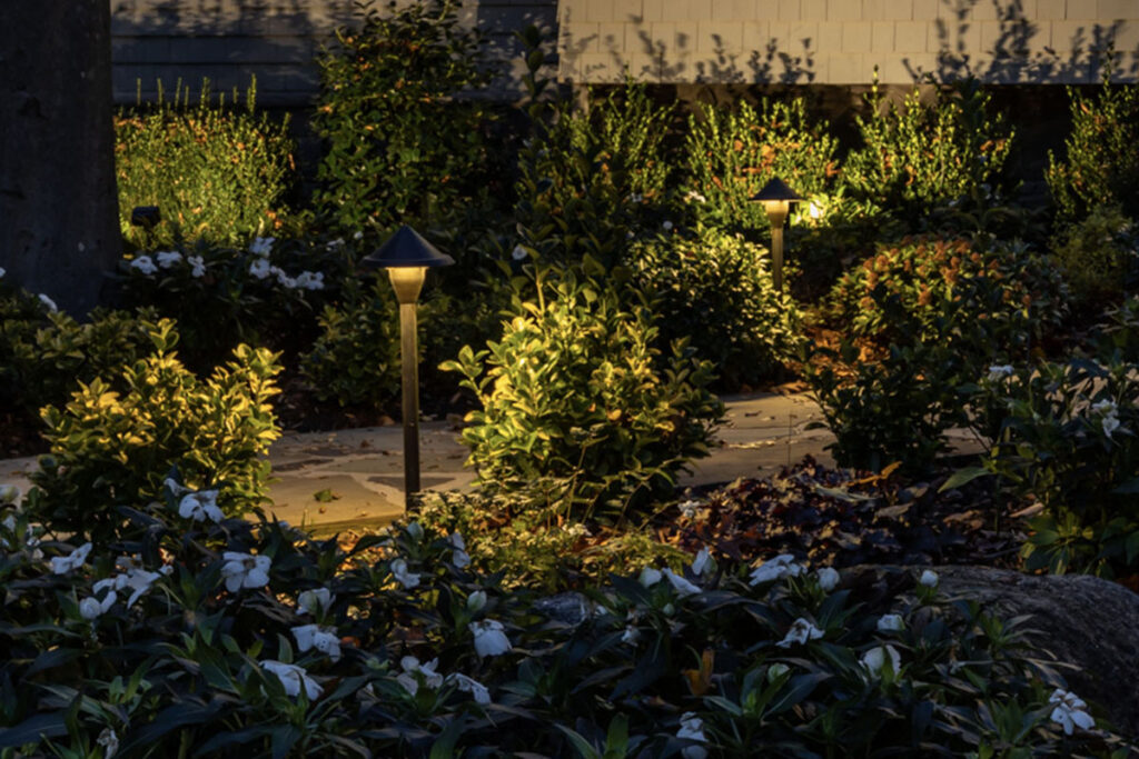 Landscape lighting maintenance service shown through well-lit path lights illuminating garden plants at night.