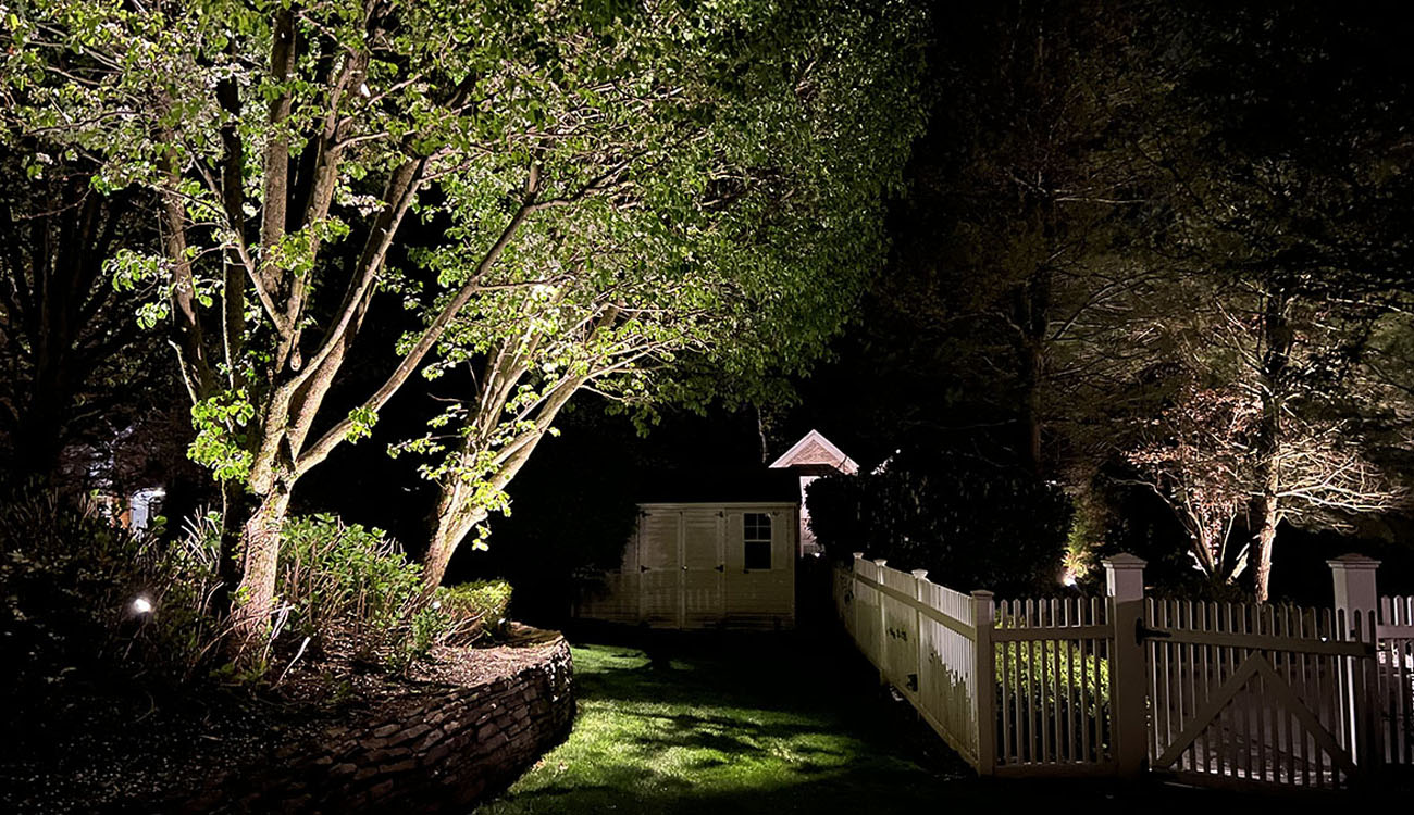 Landscape lighting maintenance service with tree lighting illuminating a backyard, fence, and garden at night.