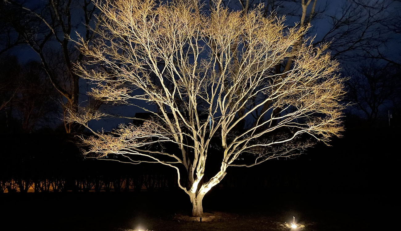 10 Reasons Why LED Landscape Lighting Is Worth It 4 Nitelite 10 Reasons Why LED Landscape Lighting Is Worth It c2