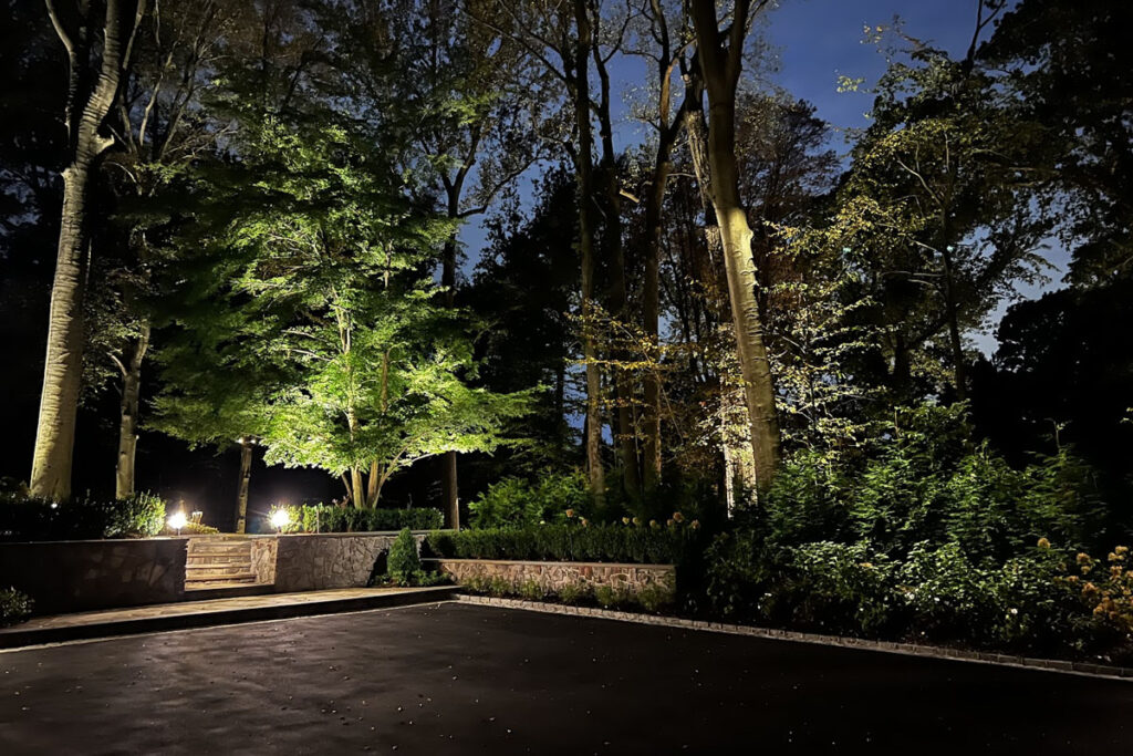 How to Extend Your Outdoor Lighting Lifespan with Proper Care 7 Tall trees glow with soft uplighting along a stone wall, showing how strong design and upkeep help protect Outdoor Lighting Lifespan.
