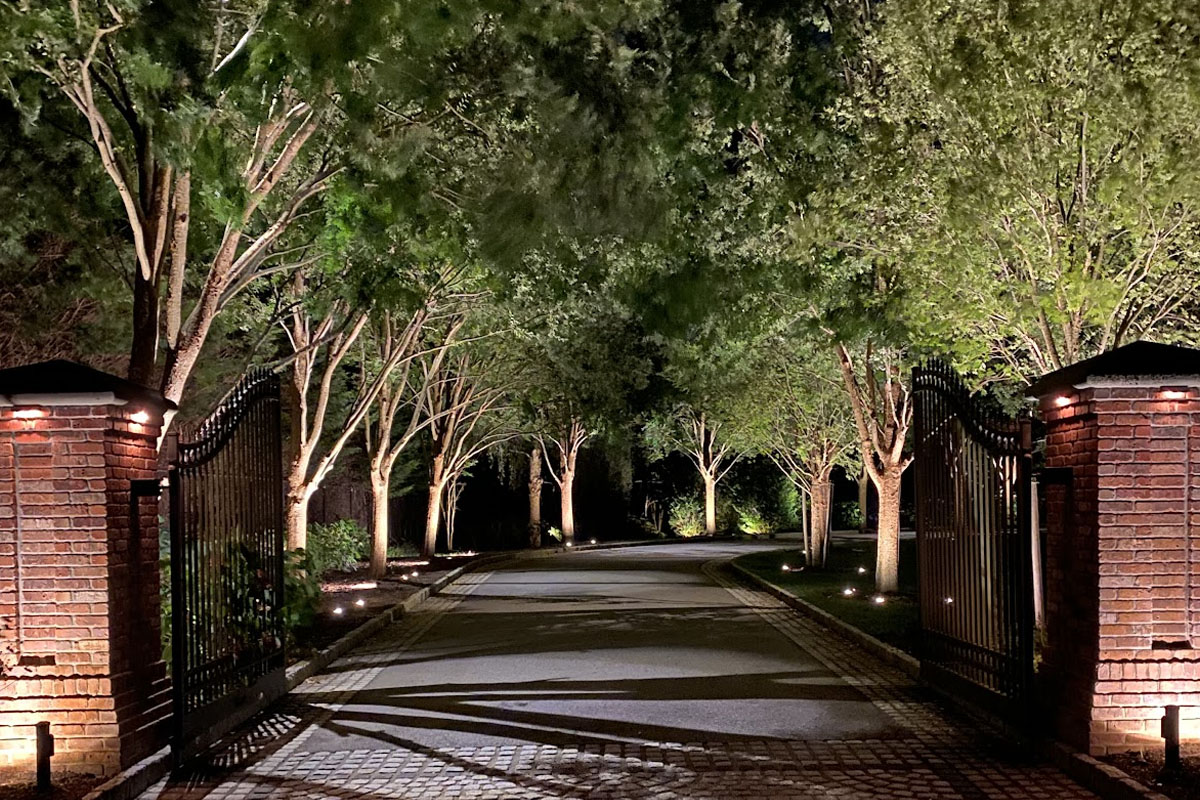 Blog 3 A gated driveway glows with soft tree uplights, showing how Energy Efficient Outdoor Lighting Systems brighten entrances while reducing energy use.